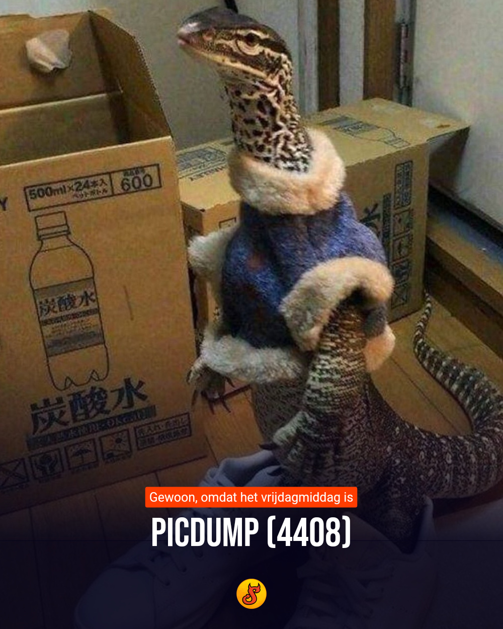 Picdump (4408)