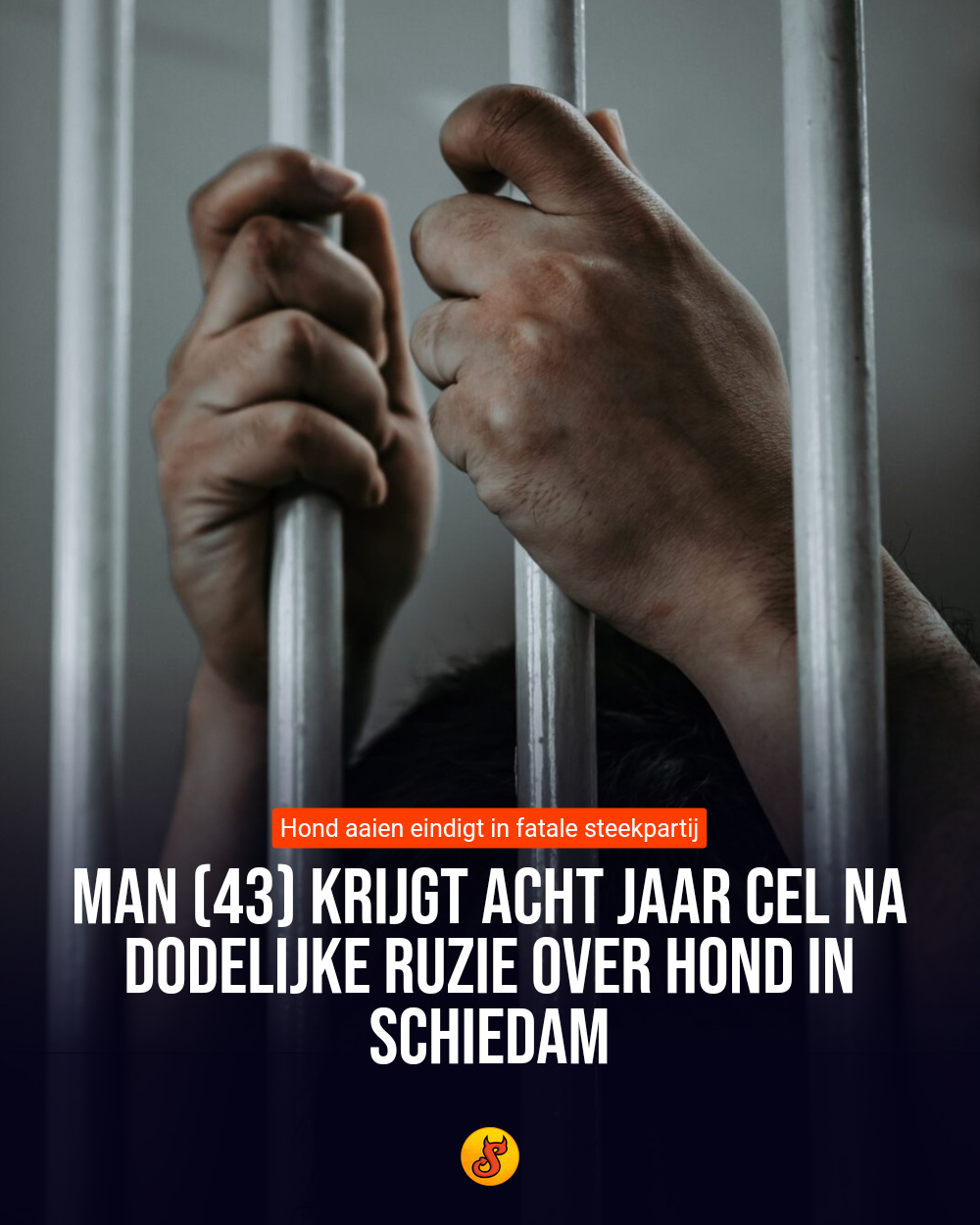Man (43) krijgt acht jaar cel na dodelijke ruzie over hond in Schiedam