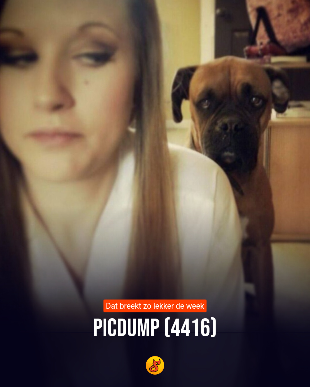 Picdump (4416)