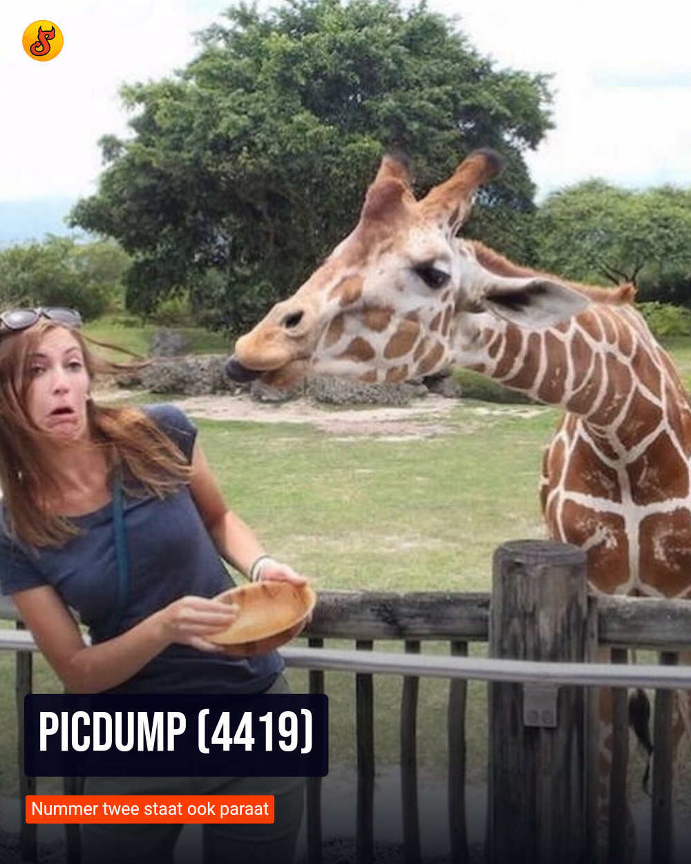 Picdump (4419)