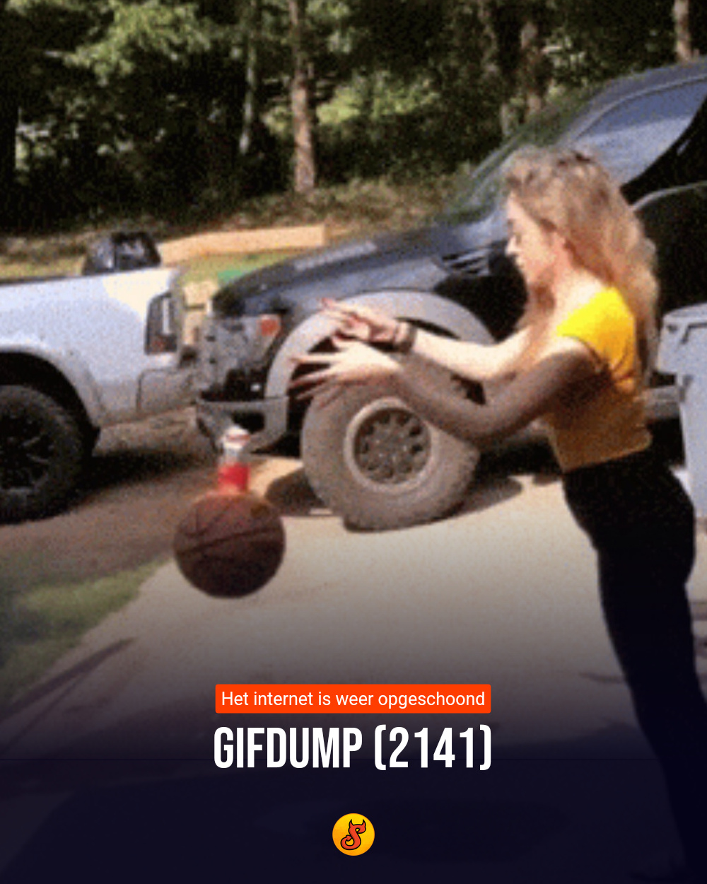 Gifdump (2141)
