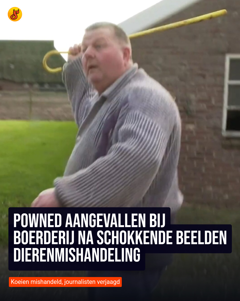 PowNed aangevallen bij boerderij na schokkende beelden dierenmishandeling