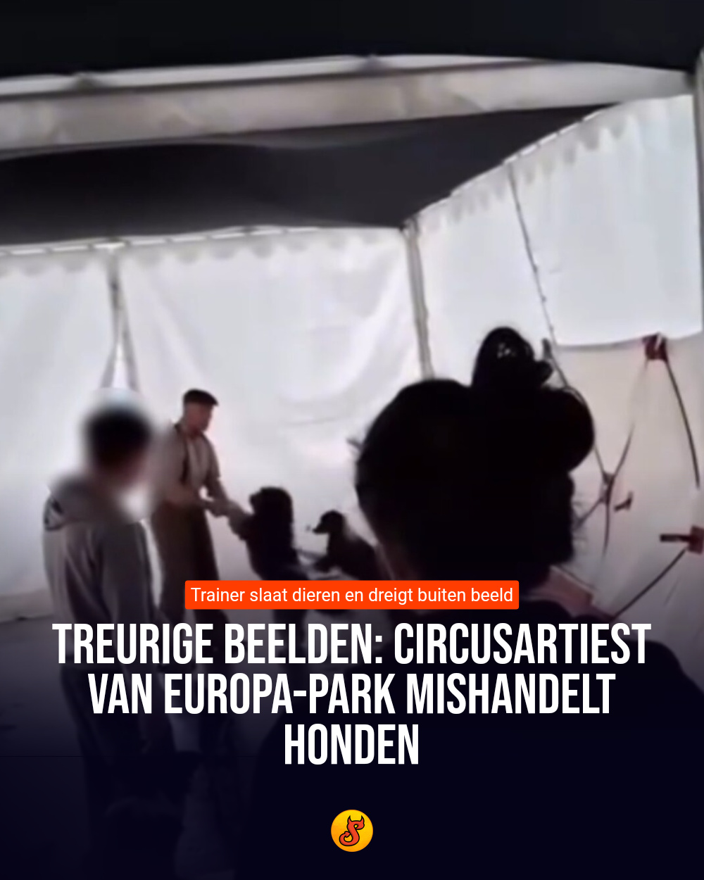 Treurige beelden: Circusartiest van Europa-Park mishandelt honden