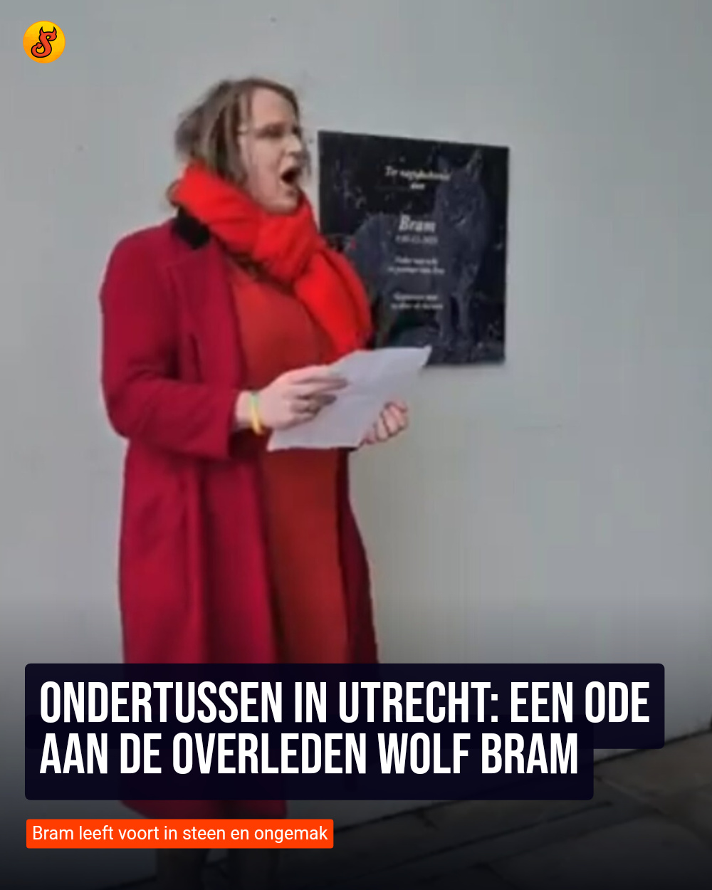 Ondertussen in Utrecht: Een ode aan de overleden wolf Bram