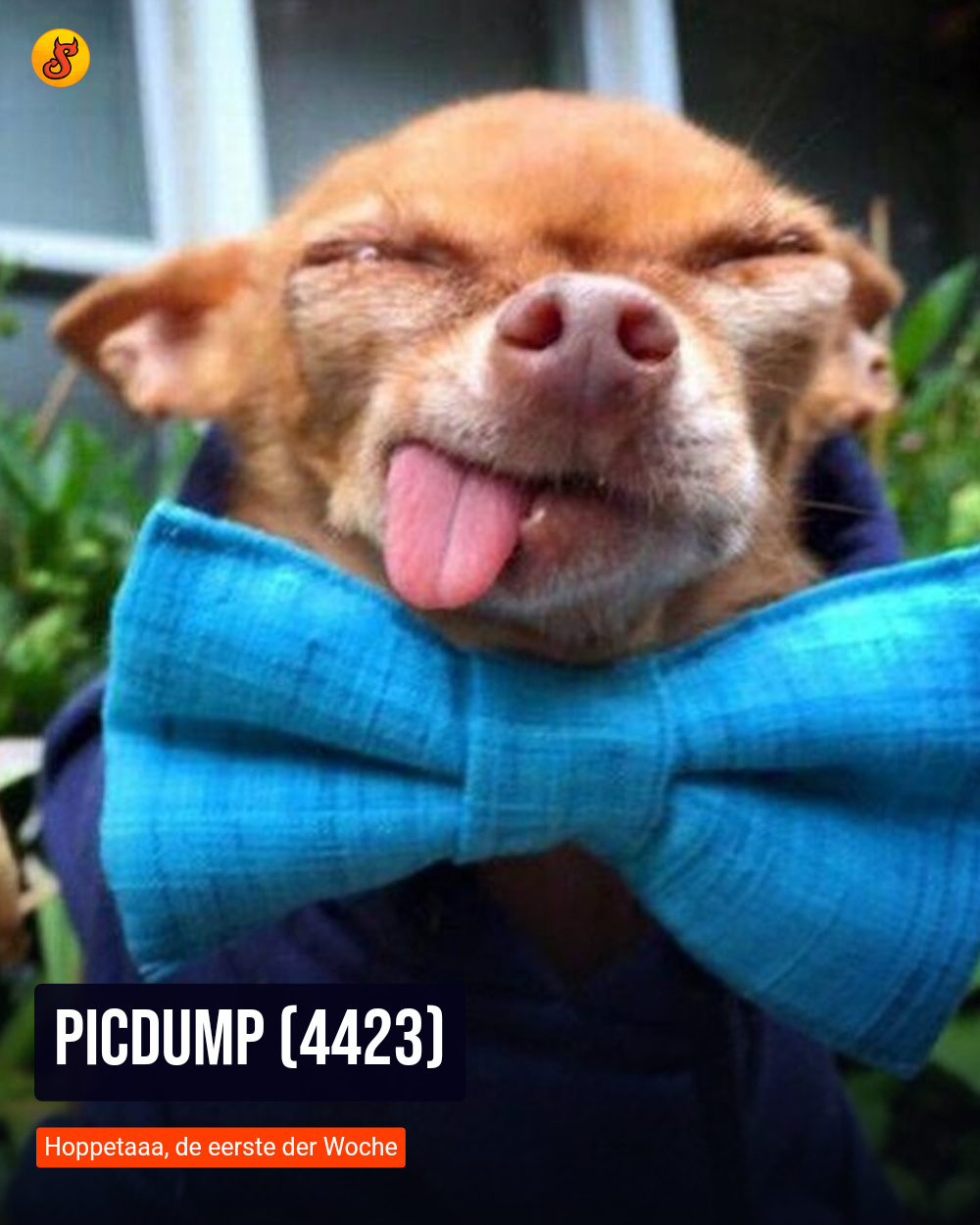 Picdump (4423)