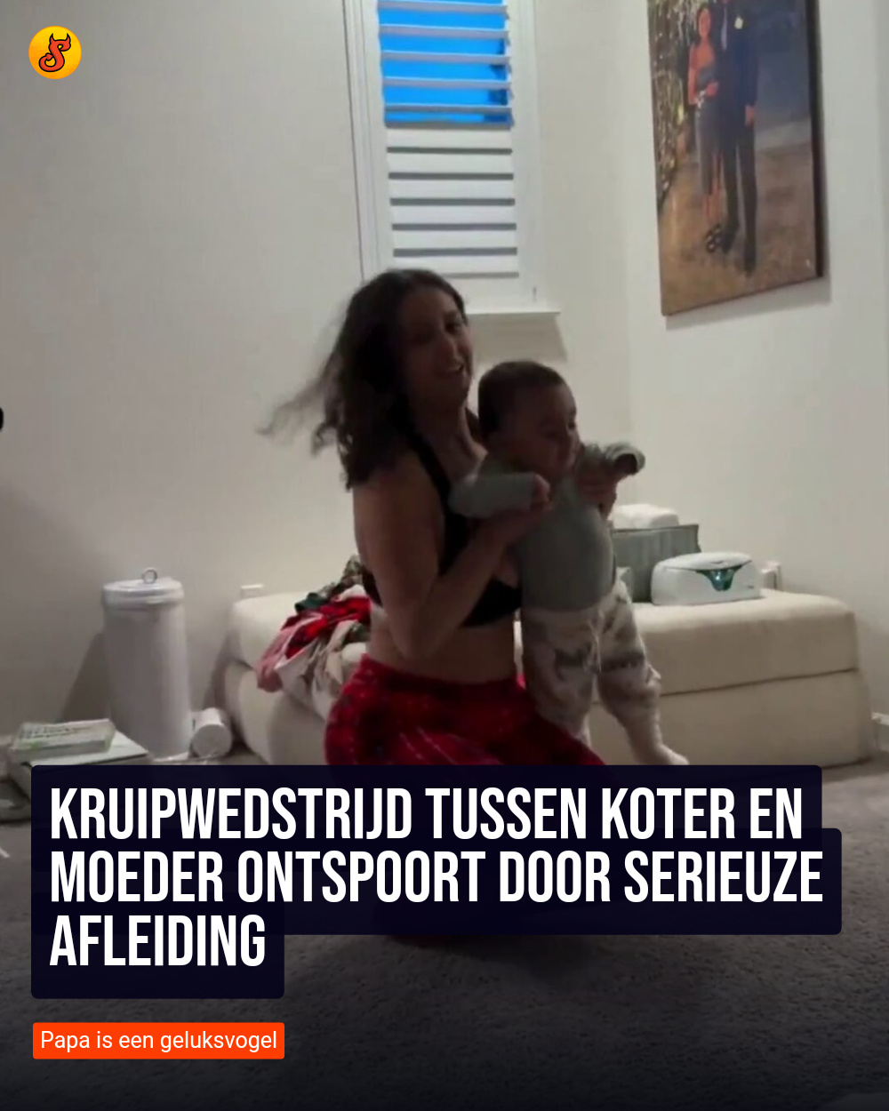 Kruipwedstrijd tussen koter en moeder ontspoort door serieuze afleiding