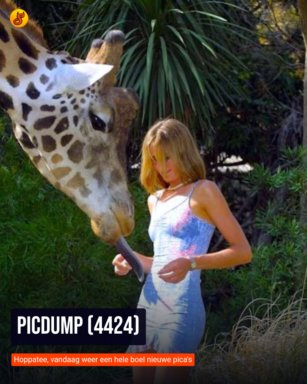 Picdump (4424)