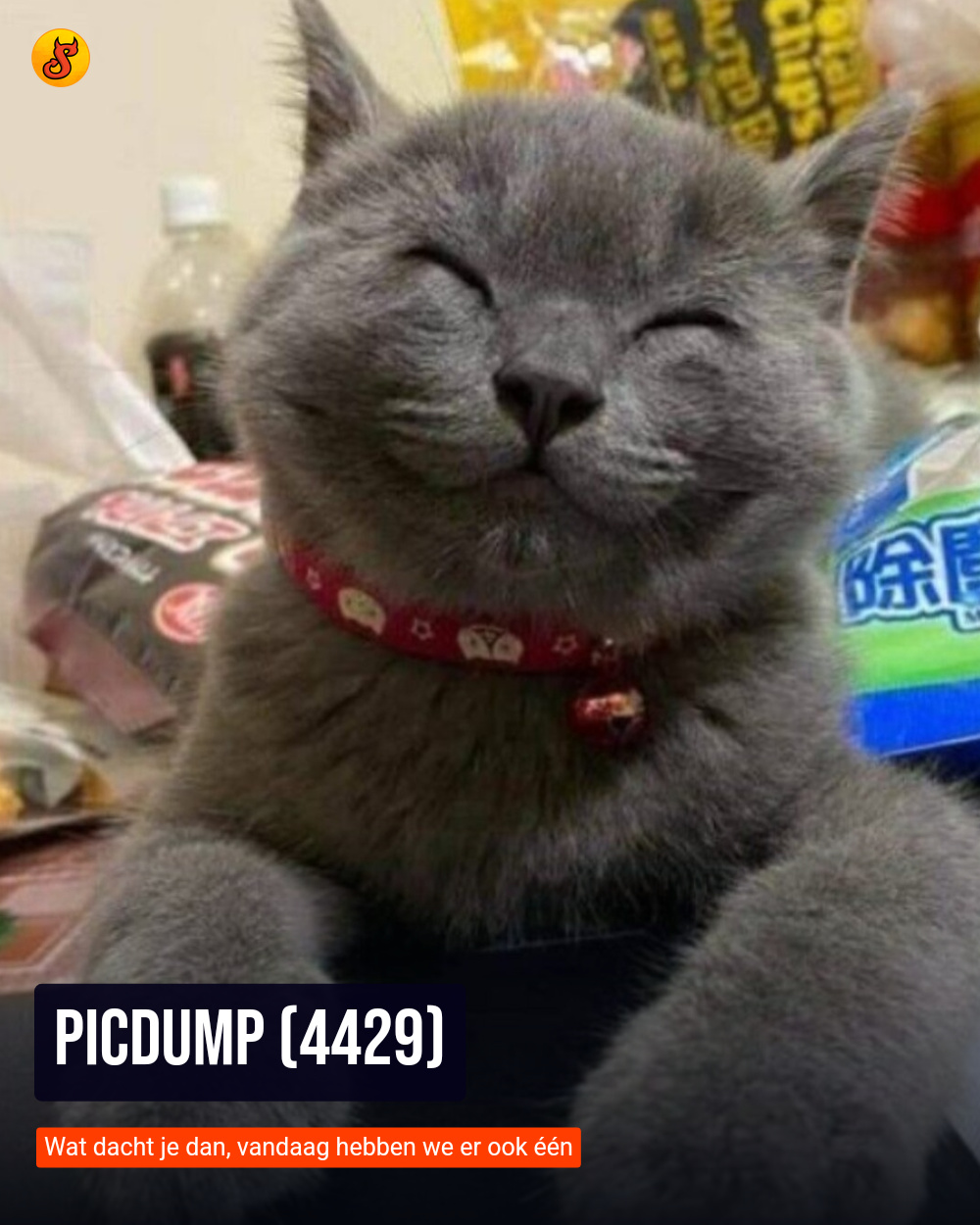 Picdump (4429)
