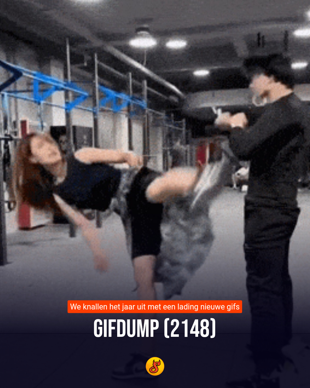 Gifdump (2148)