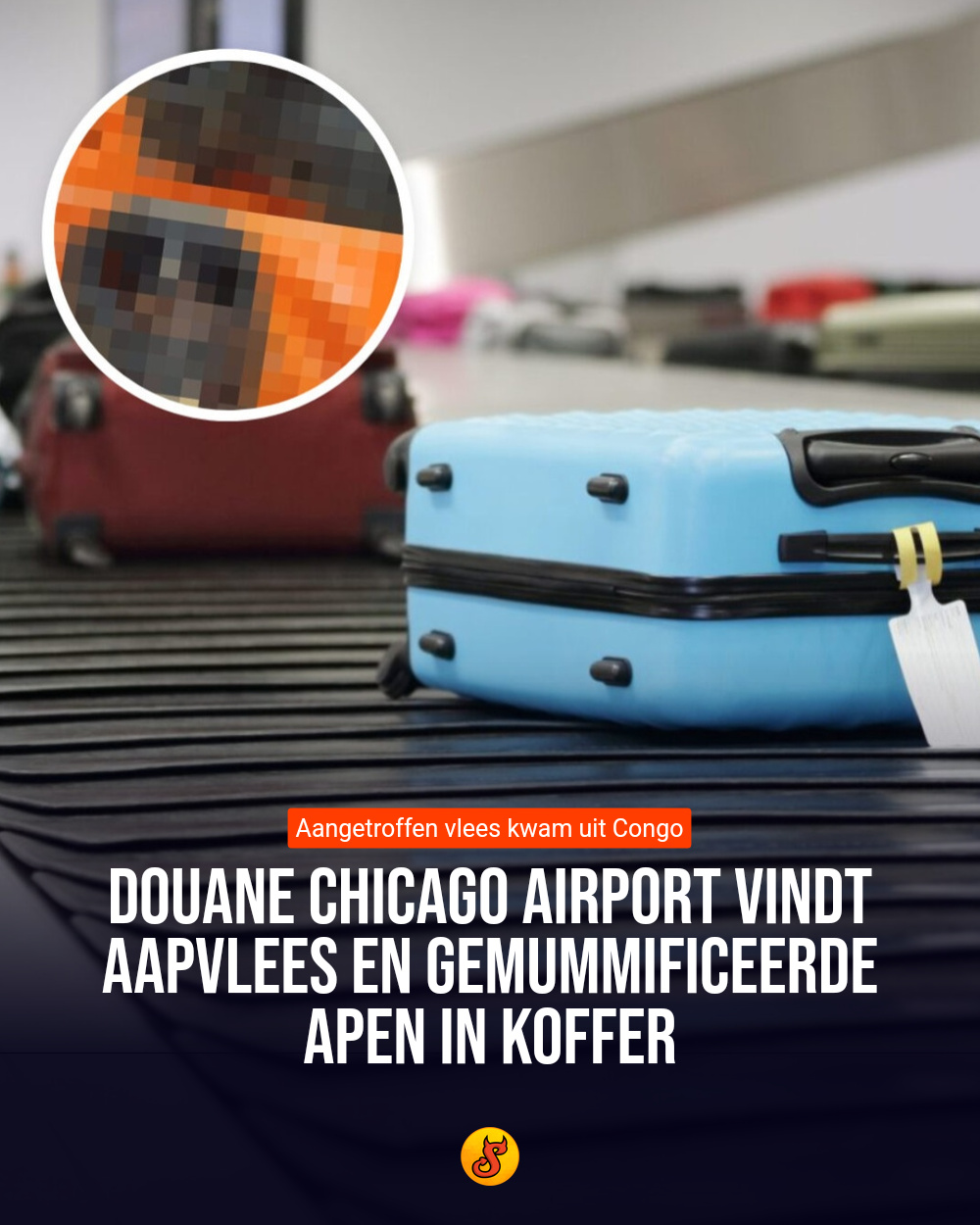 Douane Chicago Airport vindt aapvlees en gemummificeerde apen in koffer