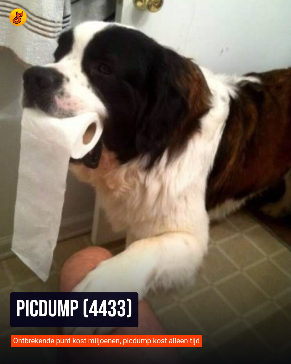 Picdump (4433)