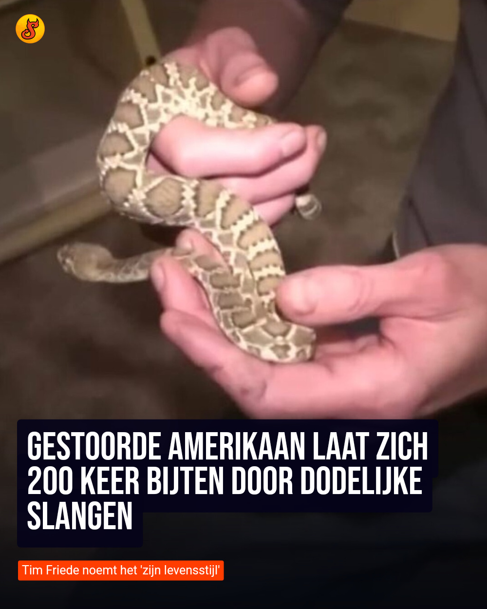 Gestoorde Amerikaan laat zich 200 keer bijten door dodelijke slangen