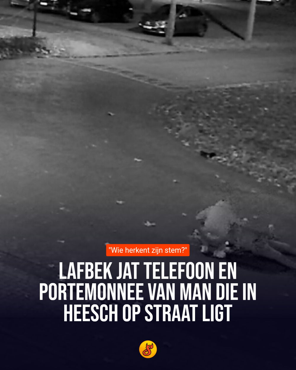 Lafbek jat telefoon en portemonnee van man die in Heesch op straat ligt