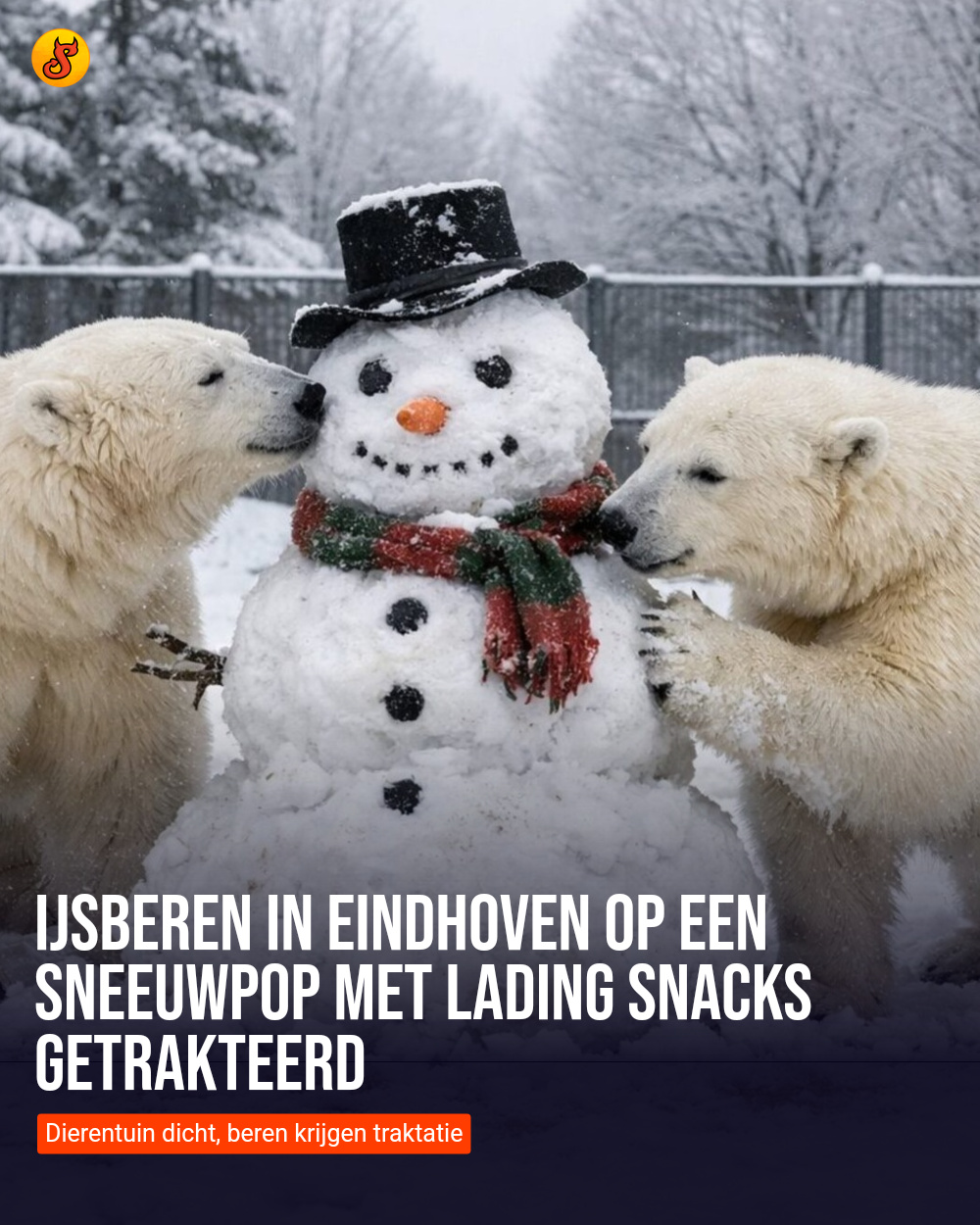 IJsberen in Eindhoven op een sneeuwpop met lading snacks getrakteerd