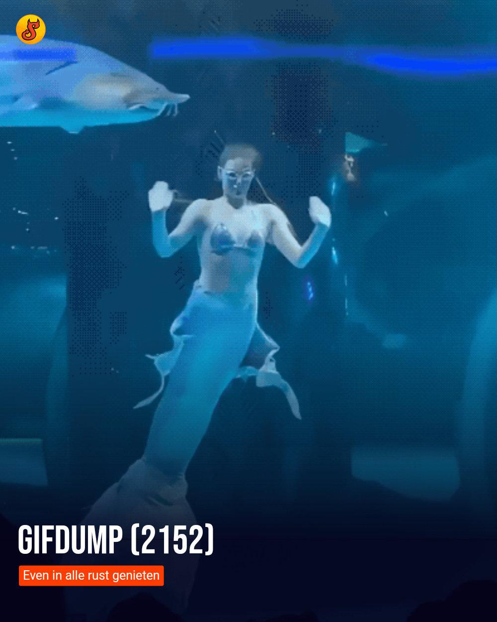 Gifdump (2152)