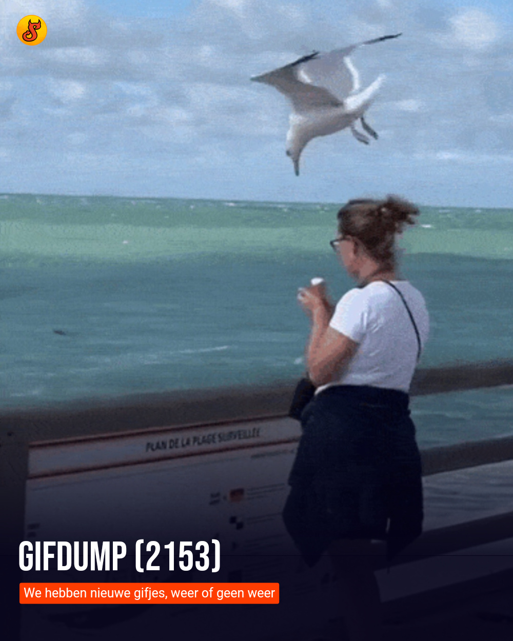 Gifdump (2153)