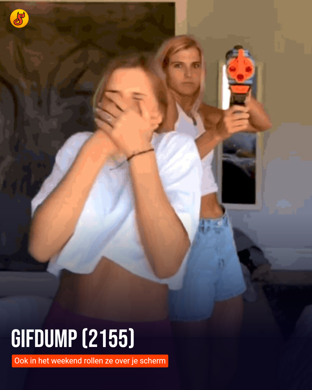 Gifdump (2155)