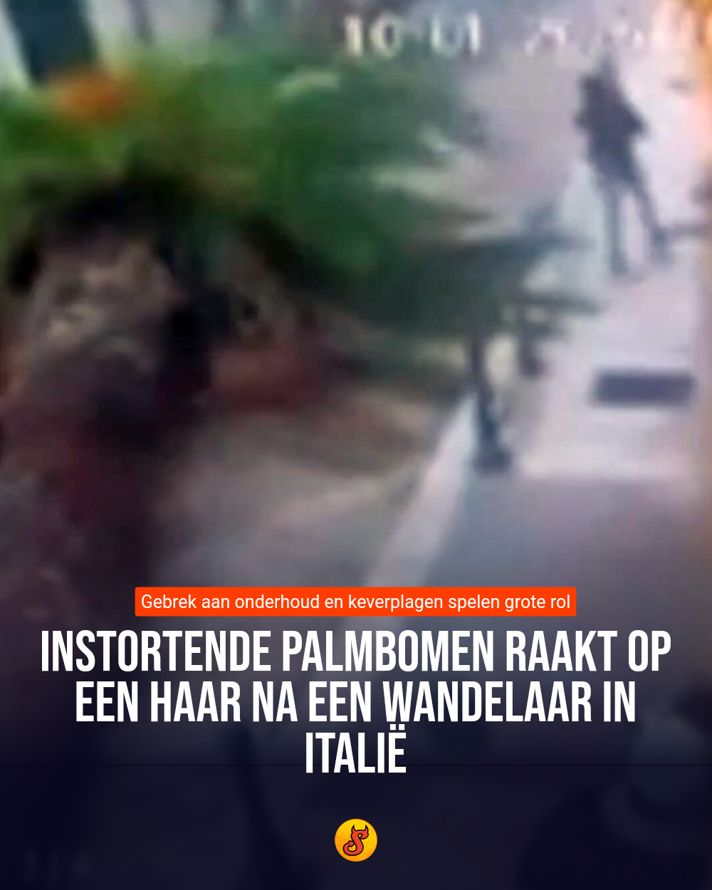 Instortende palmbomen raakt op een haar na een wandelaar in Italië