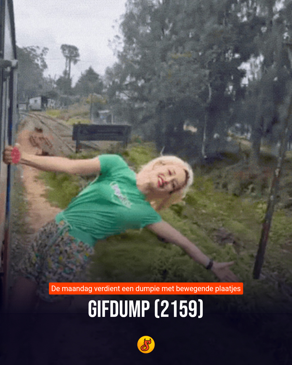 Gifdump (2159)