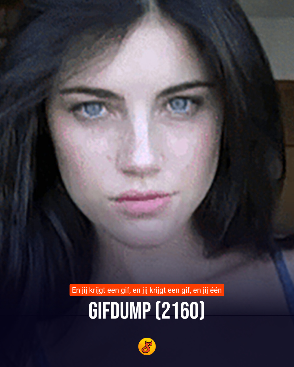 Gifdump (2160)