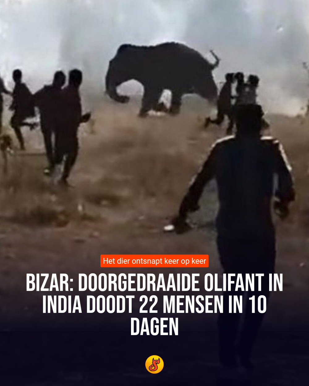 Bizar: Doorgedraaide olifant in India doodt 22 mensen in 10 dagen