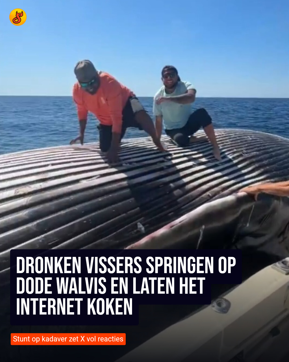 Dronken vissers springen op dode walvis en laten het internet koken