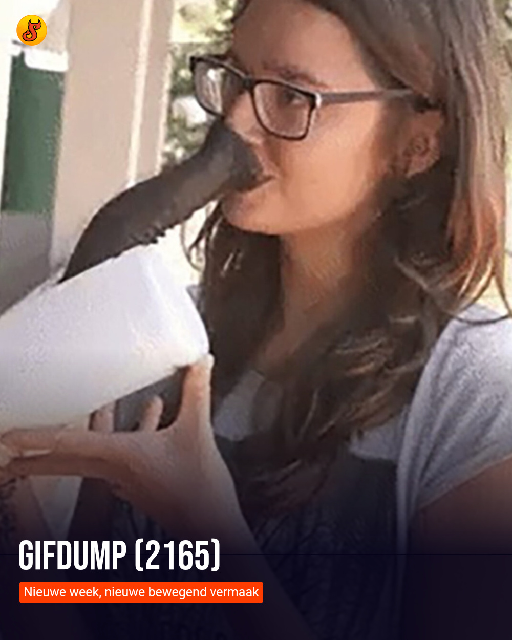 Gifdump (2165)