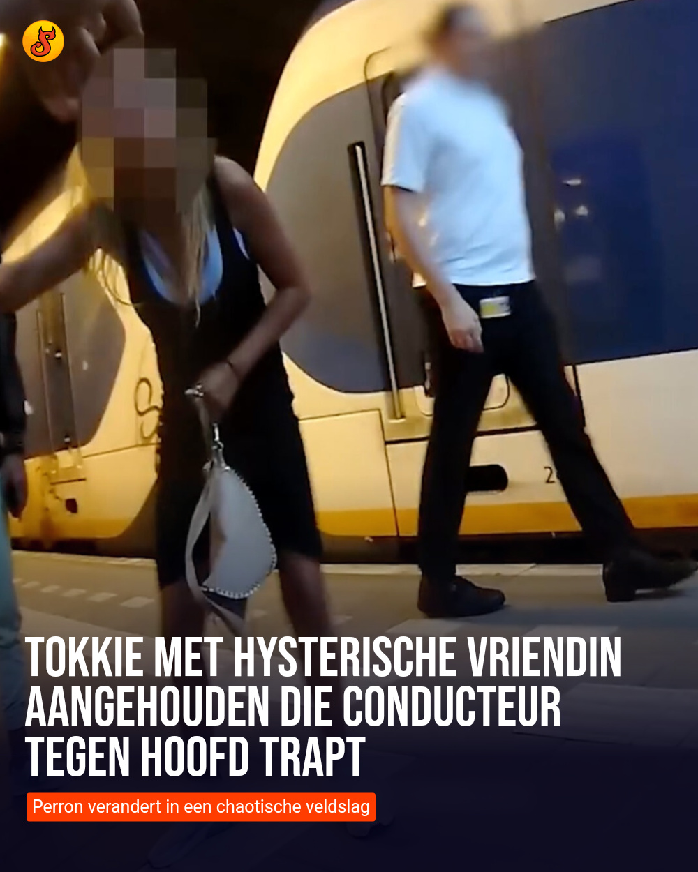Tokkie met hysterische vriendin aangehouden die conducteur tegen hoofd trapt