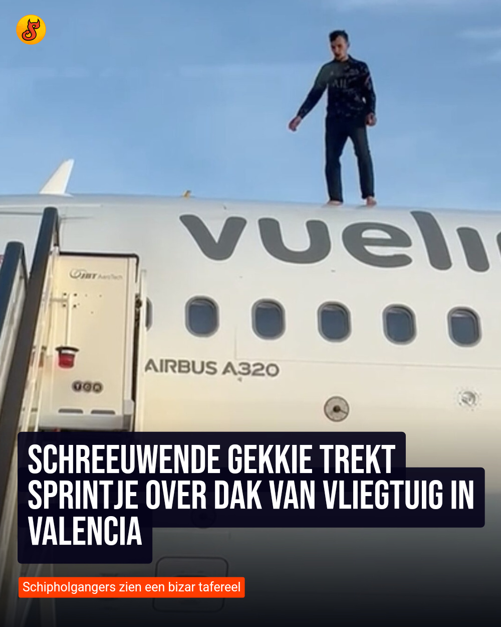 Schreeuwende gekkie trekt sprintje over dak van vliegtuig in Valencia