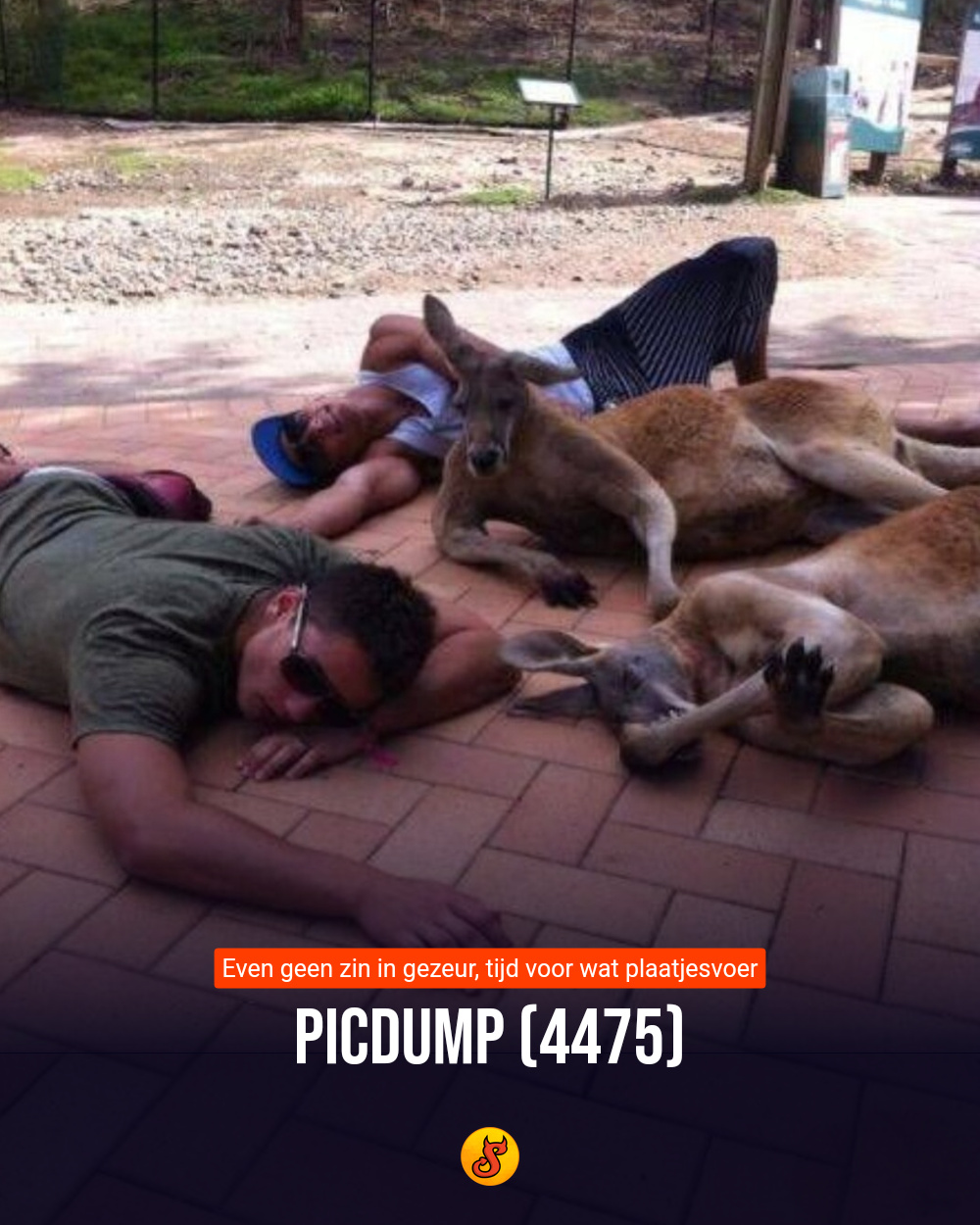 Picdump (4475)