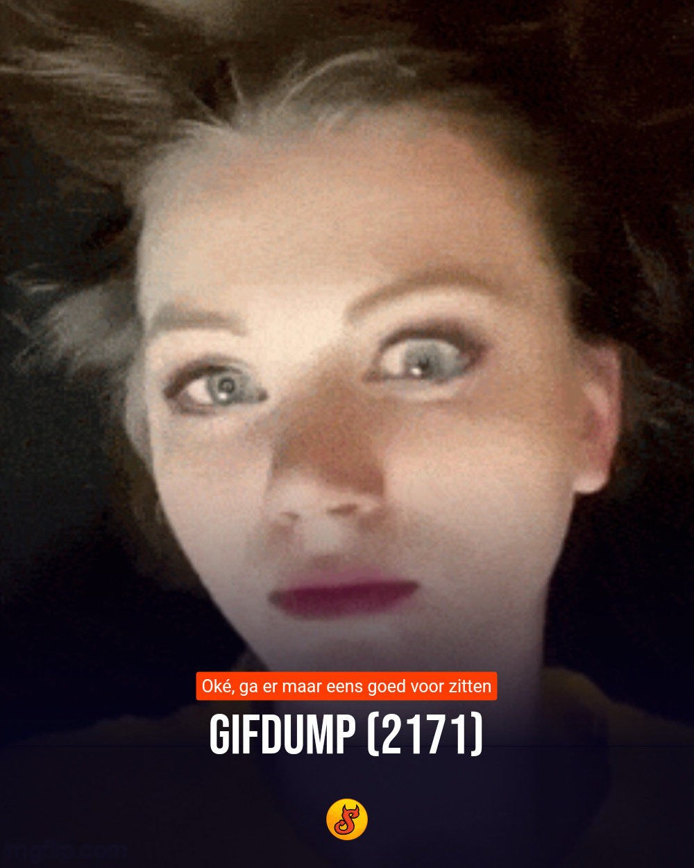 Gifdump (2171)