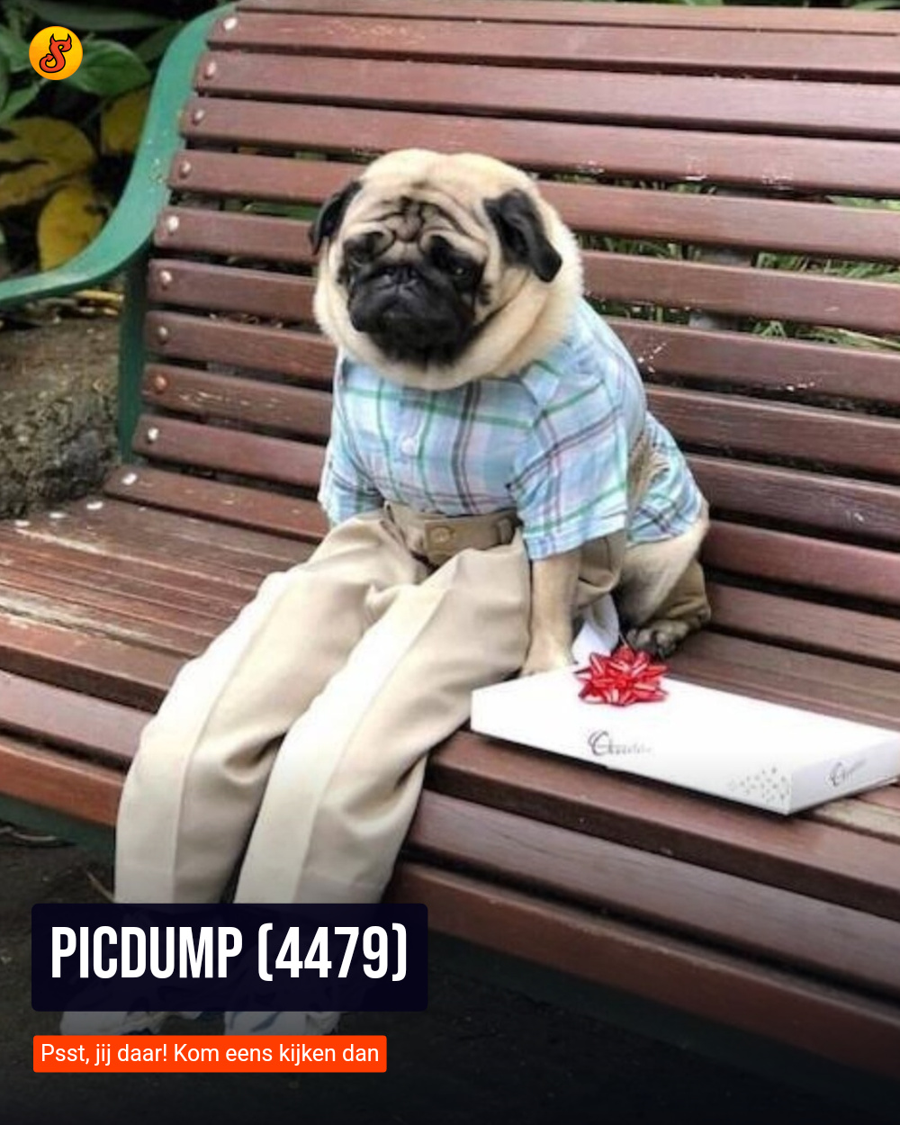 Picdump (4479)