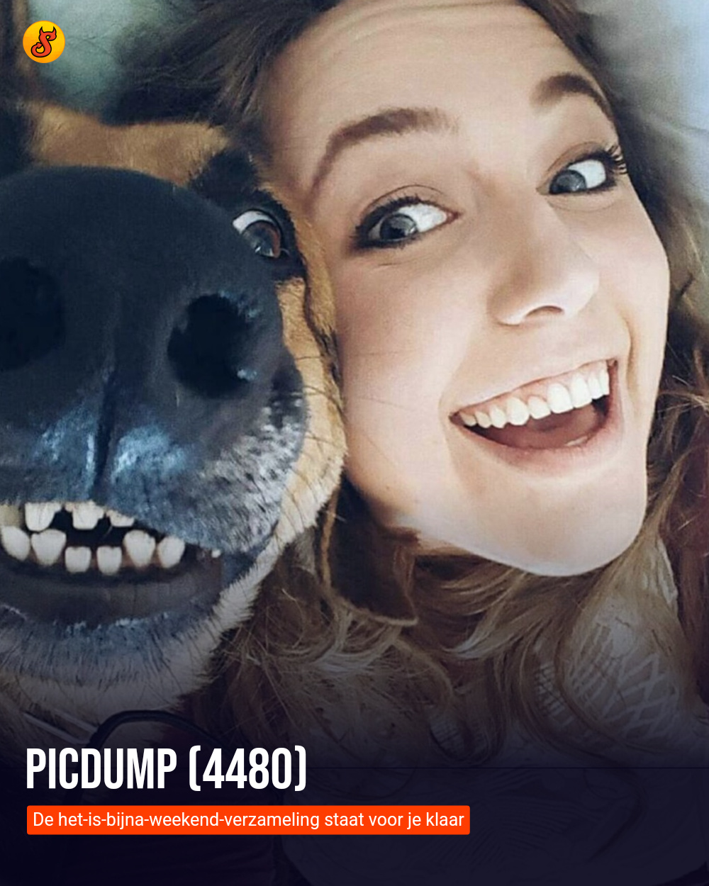 Picdump (4480)