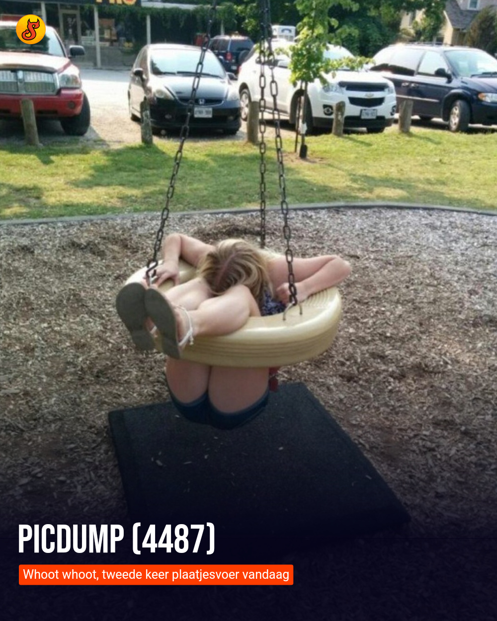 Picdump (4487)