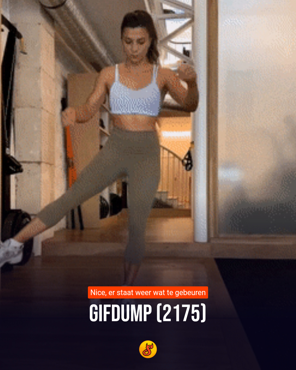 Gifdump (2175)