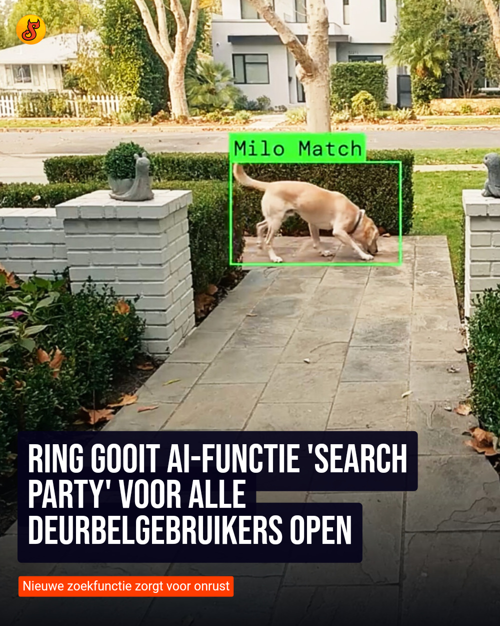 Ring gooit AI-functie 'Search Party' voor alle deurbelgebruikers open