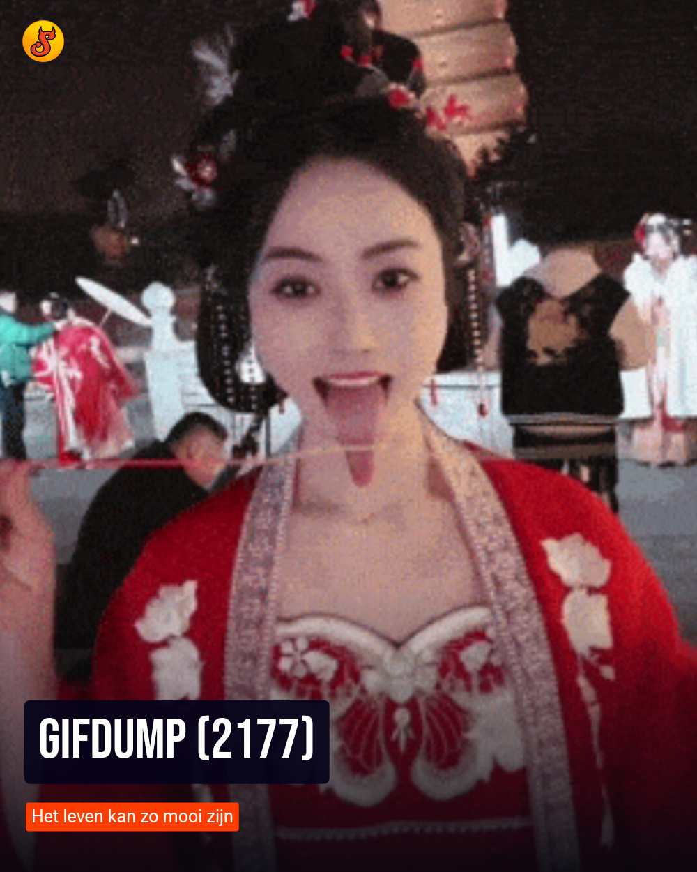 Gifdump (2177)