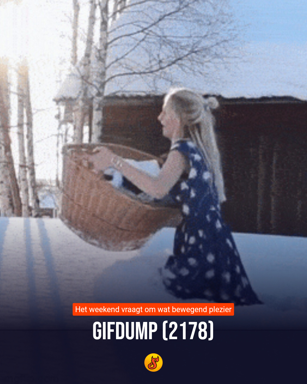 Gifdump (2178)