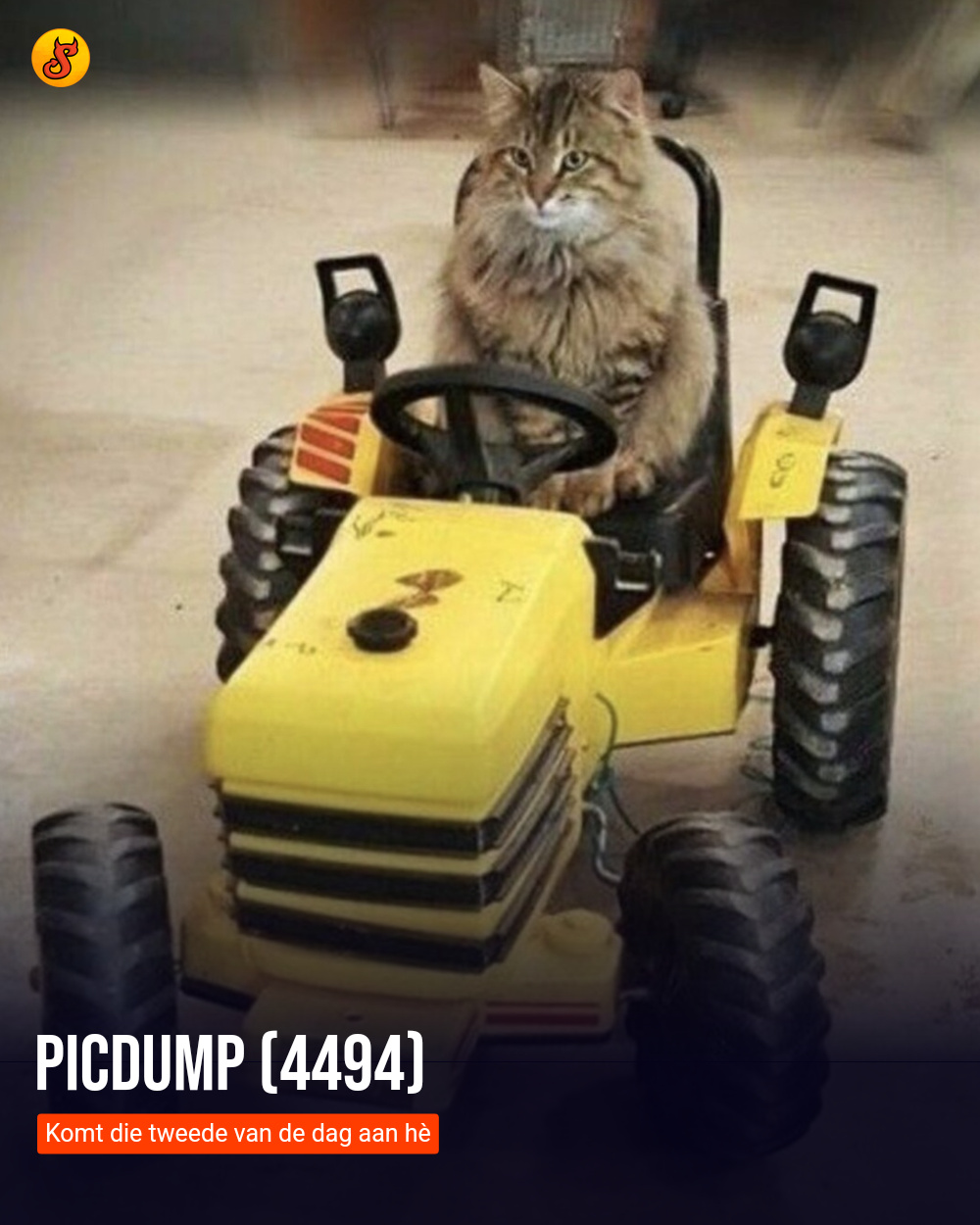 Picdump (4494)