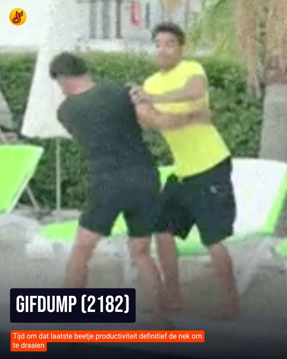 Gifdump (2182)