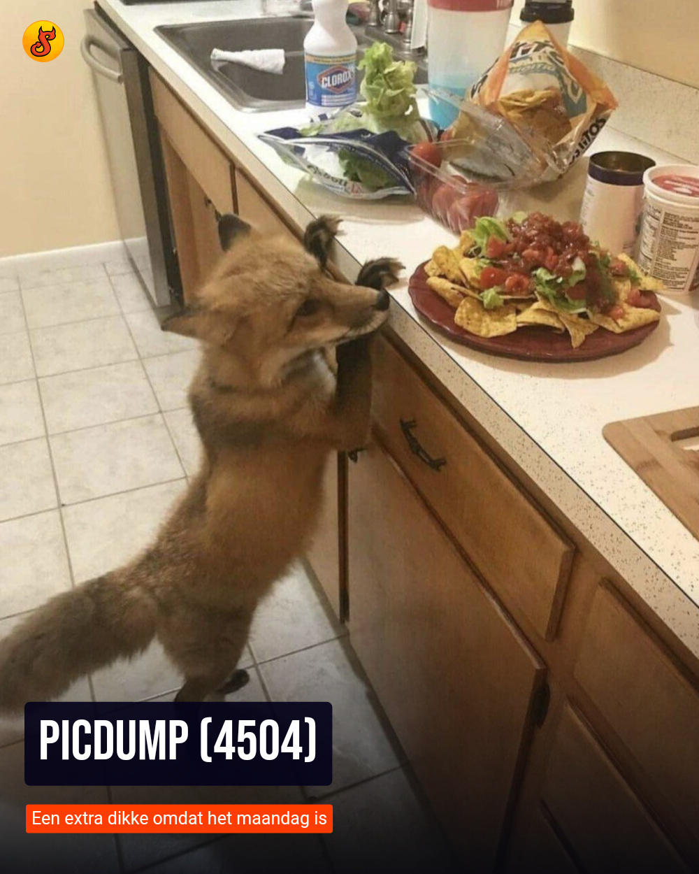 Picdump (4504)