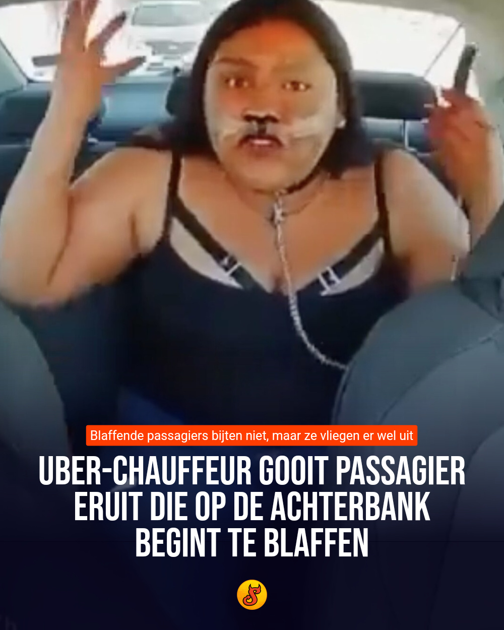 Uber-chauffeur gooit passagier eruit die op de achterbank begint te blaffen