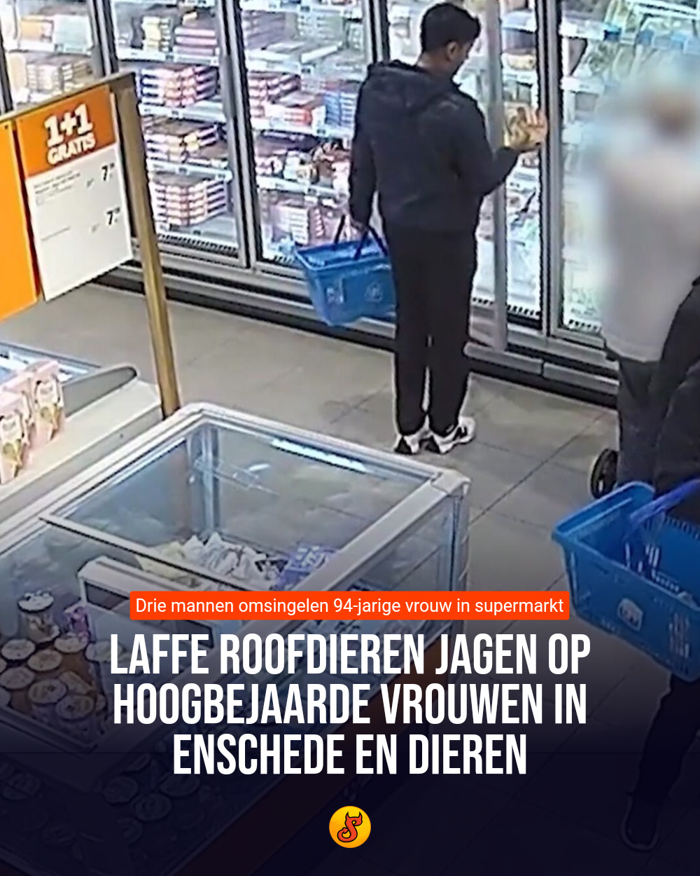 Laffe roofdieren jagen op hoogbejaarde vrouwen in Enschede en Dieren