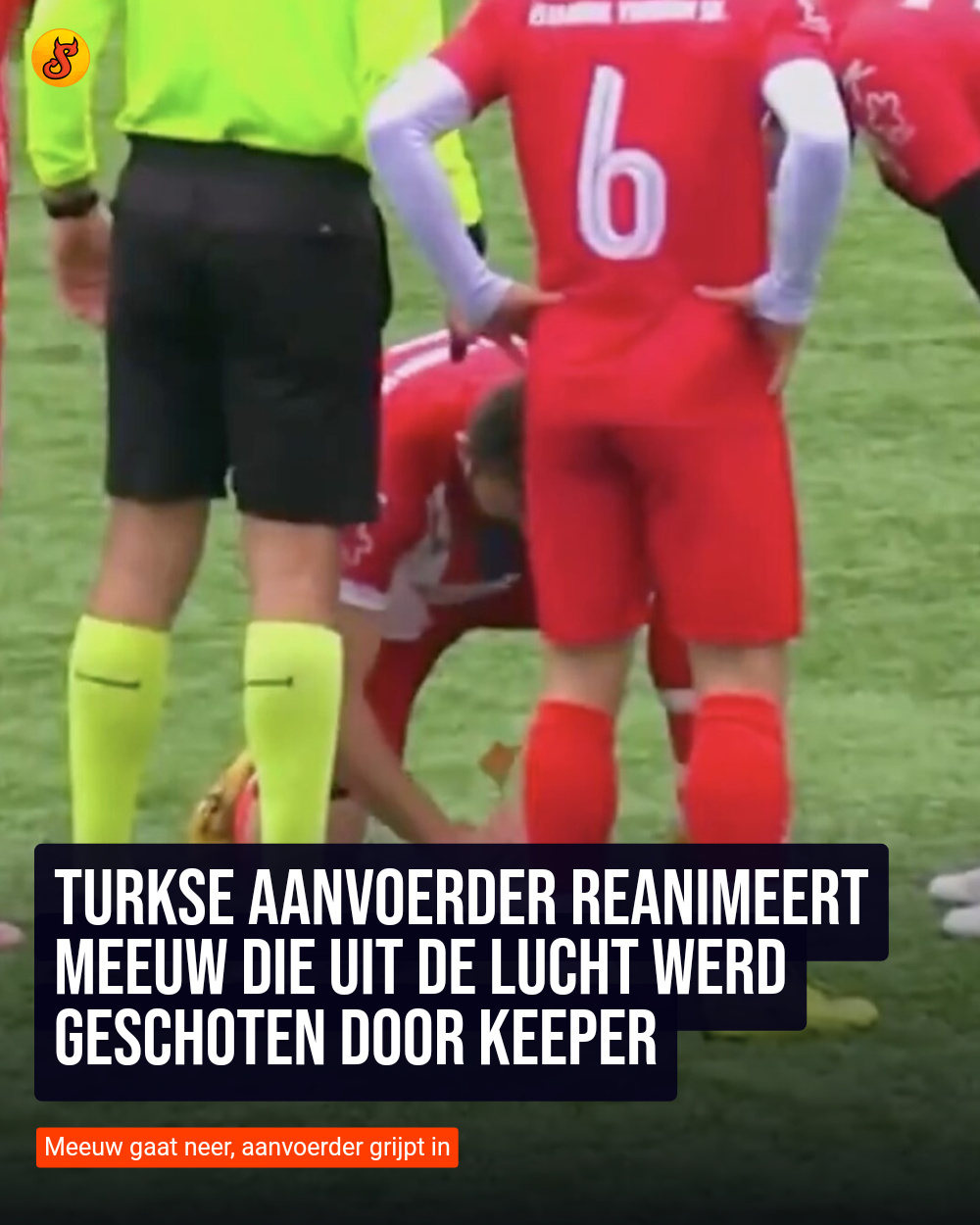 Turkse aanvoerder reanimeert meeuw die uit de lucht werd geschoten door keeper