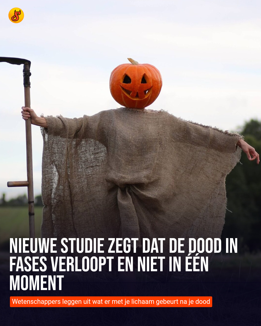 Nieuwe studie zegt dat de dood in fases verloopt en niet in één moment