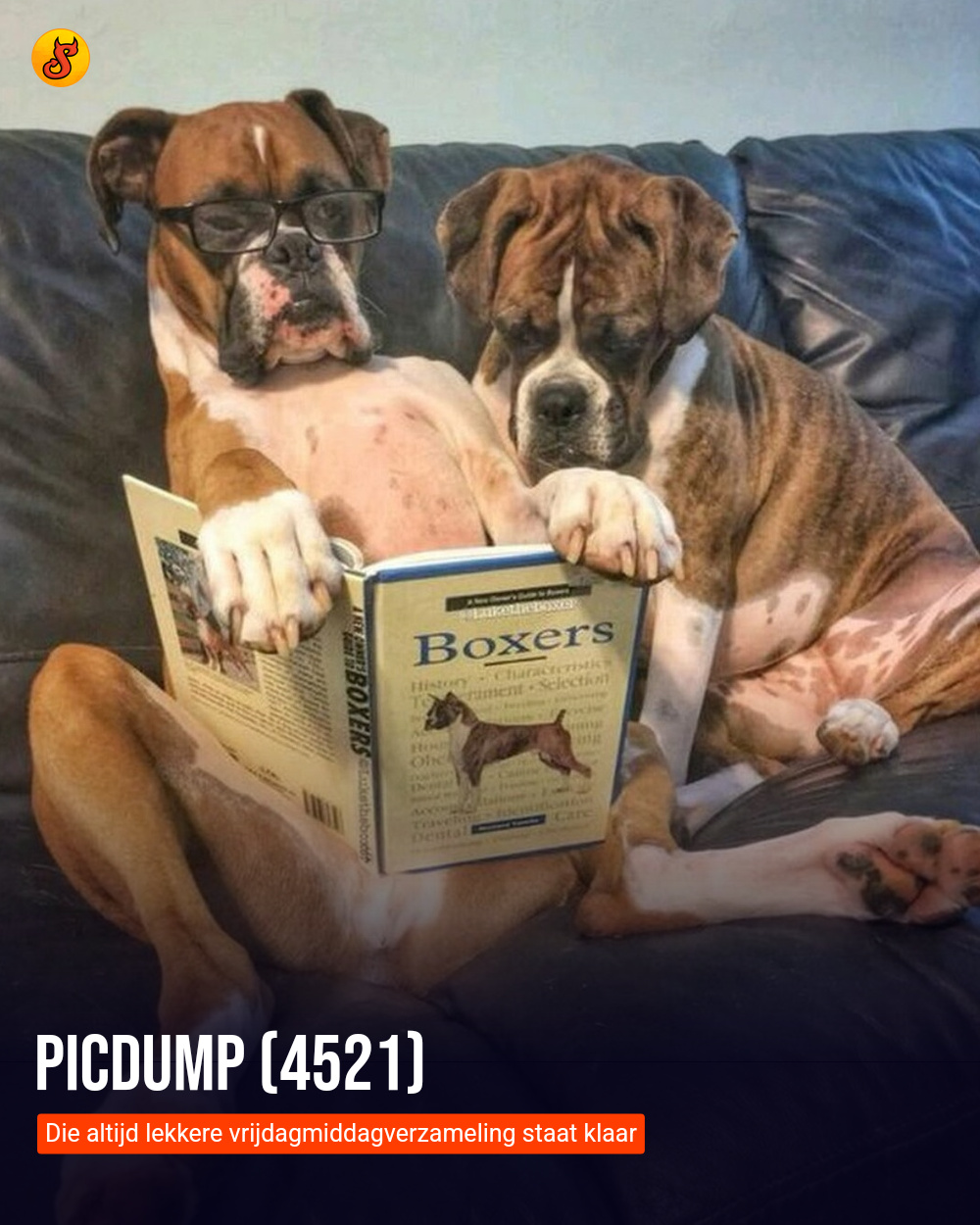 Picdump (4521)