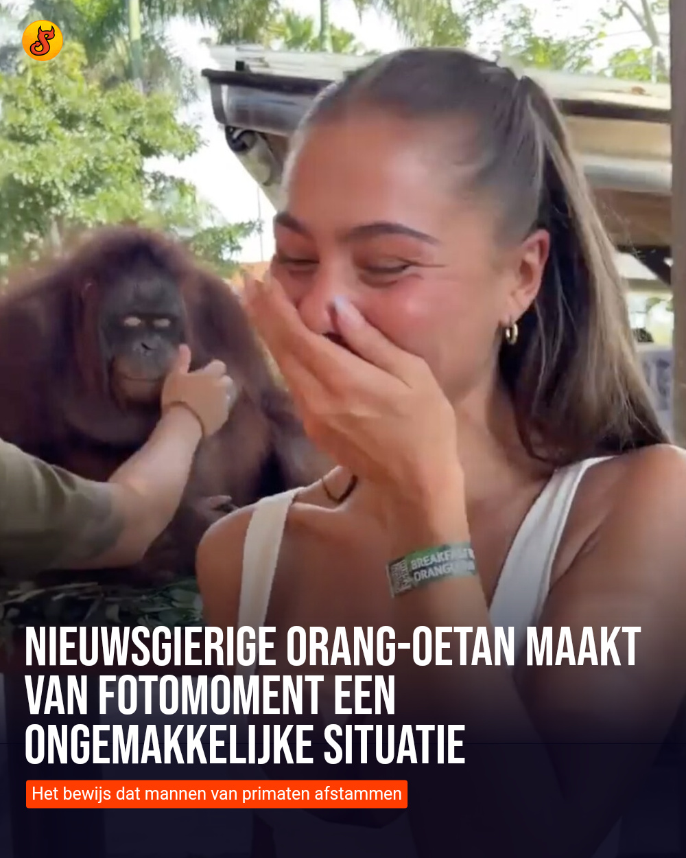 Nieuwsgierige Orang-oetan maakt van fotomoment een ongemakkelijke situatie