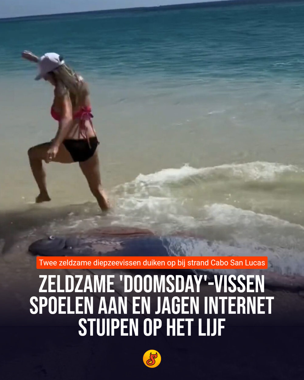 Zeldzame 'doomsday'-vissen spoelen aan en jagen internet stuipen op het lijf