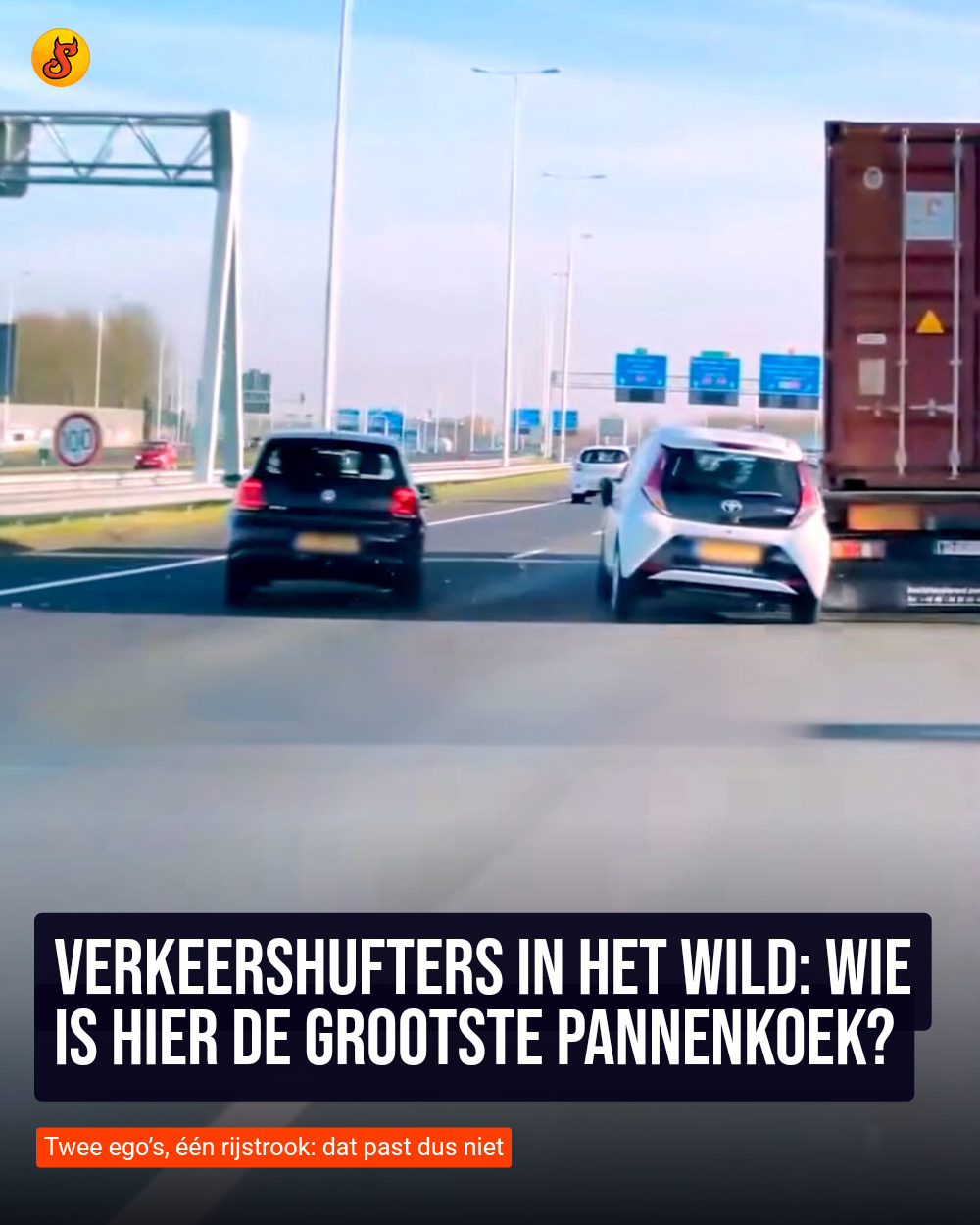 Verkeershufters in het wild: Wie is hier de grootste pannenkoek?