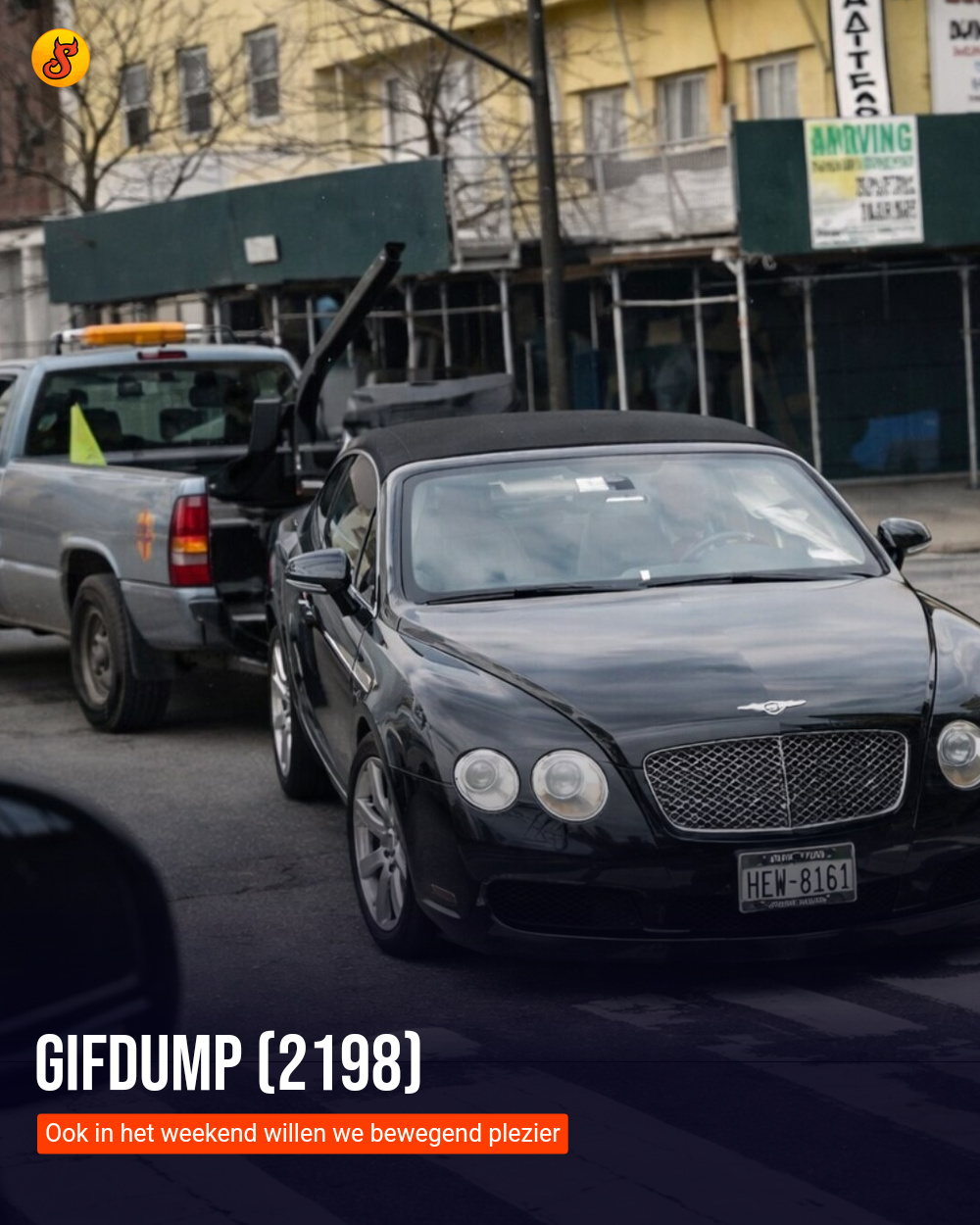 Gifdump (2198)